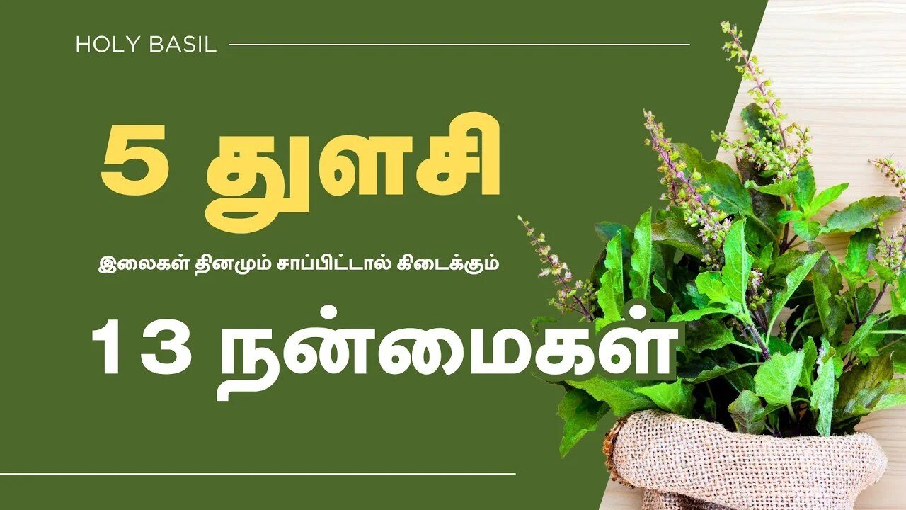 துளசி-இலைகளின்